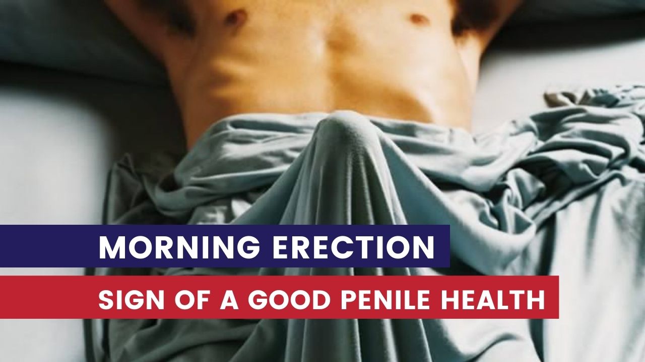 morning erection